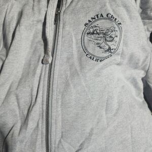 Santa Cruz Light Gray Graphic Tee